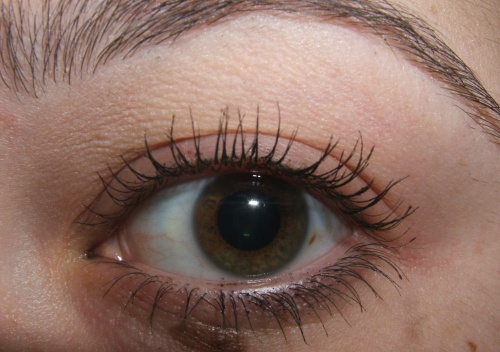 plushlash-mascara